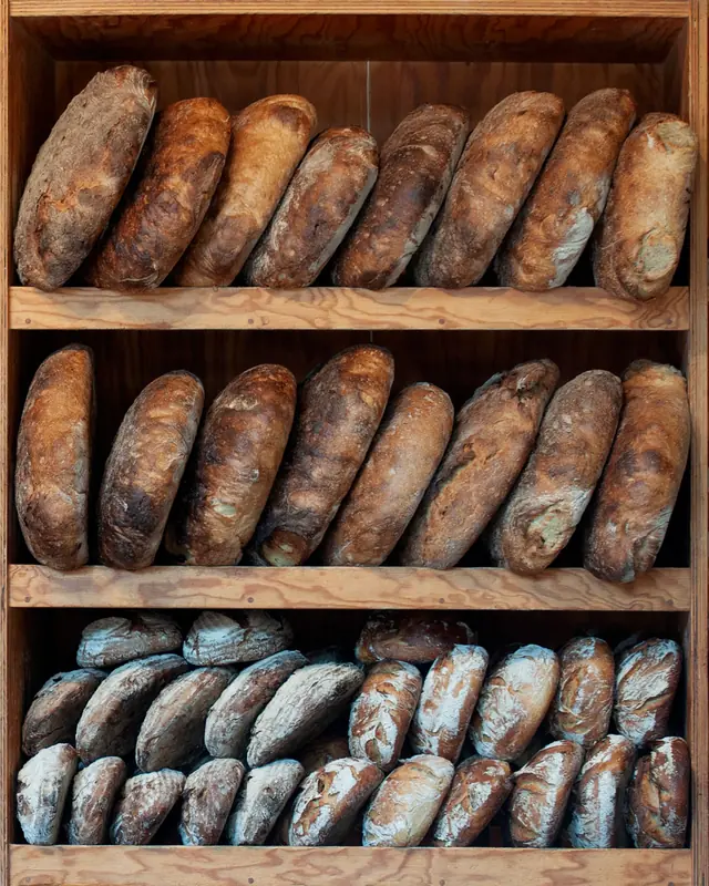 Pains au levain alignés sur des étagères en bois